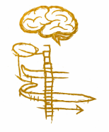 Emblème cerveau et rachis — Dr Nicolas Penet